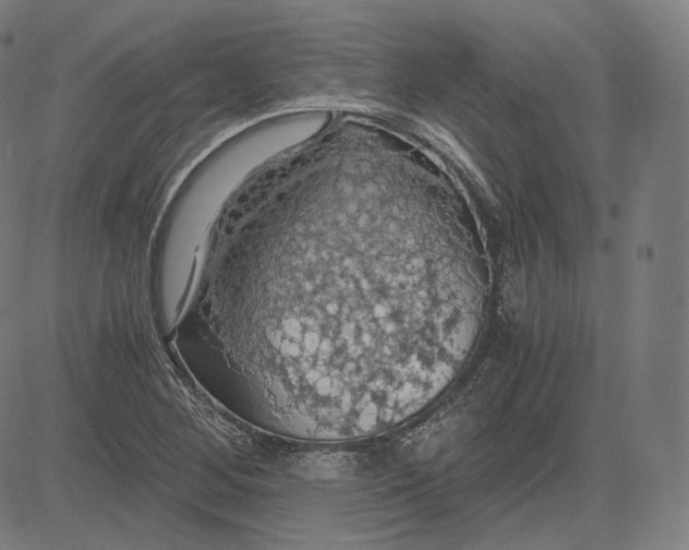 X0000084531268200703091619