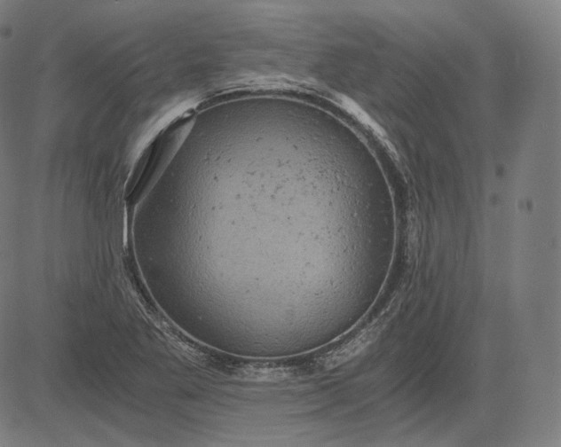 X0000084531269200703091619