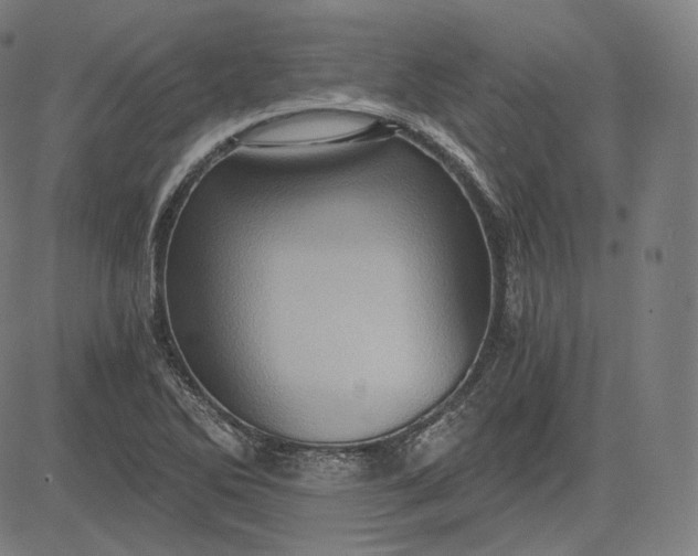 X0000084531270200703091619