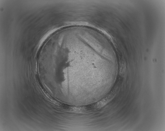 X0000084531271200703091619