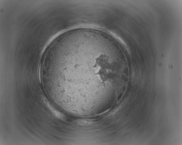 X0000084531272200703091619