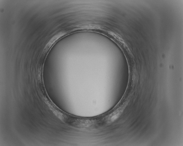 X0000084531273200703091618