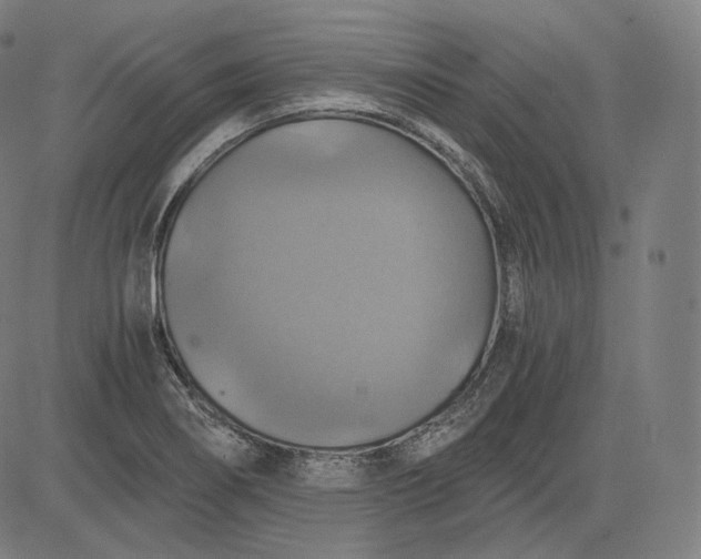 X0000084531274200703091618