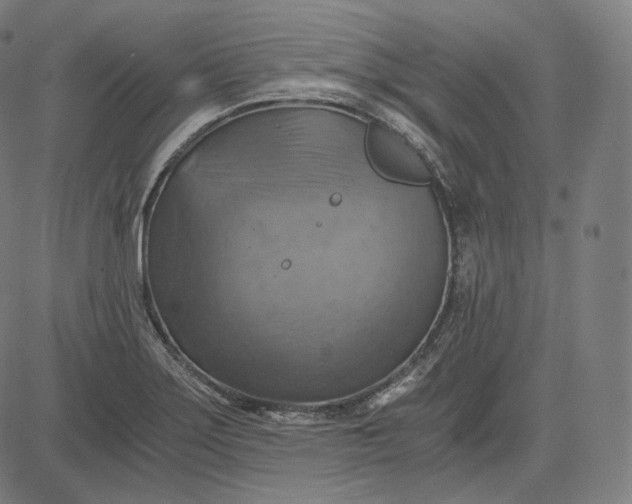 X0000084531275200703091618