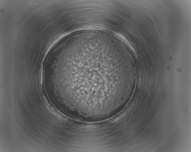 X0000084531276200703091618