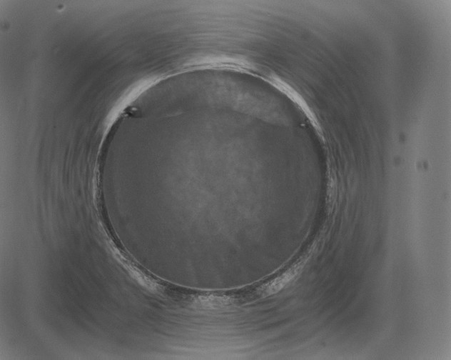 X0000084531277200703091618