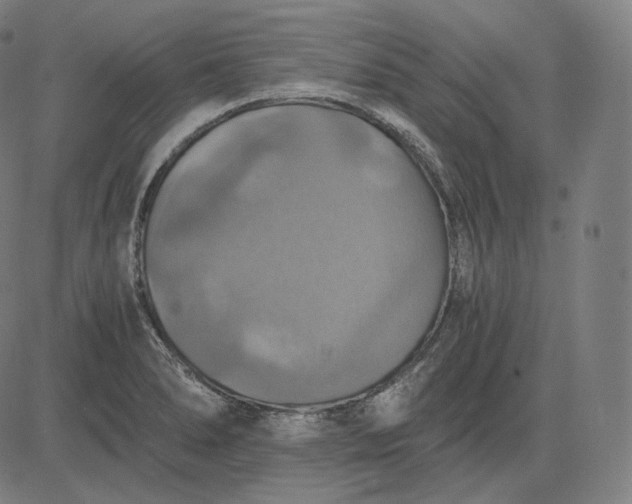 X0000084531278200703091618