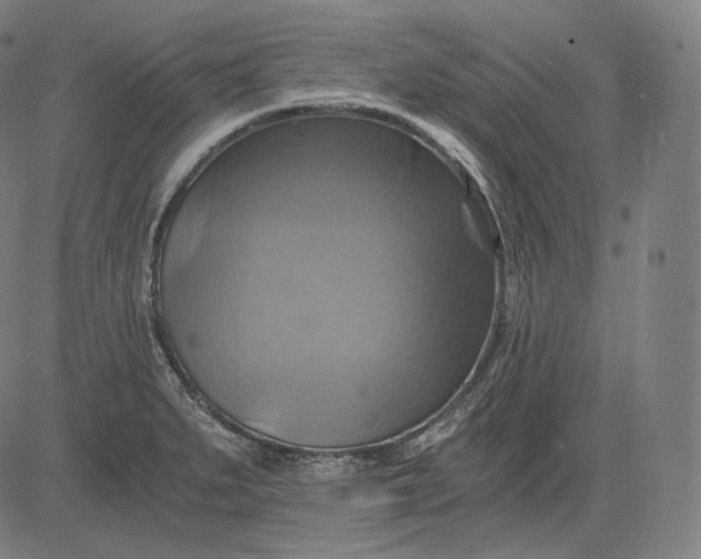 X0000084531279200703091618