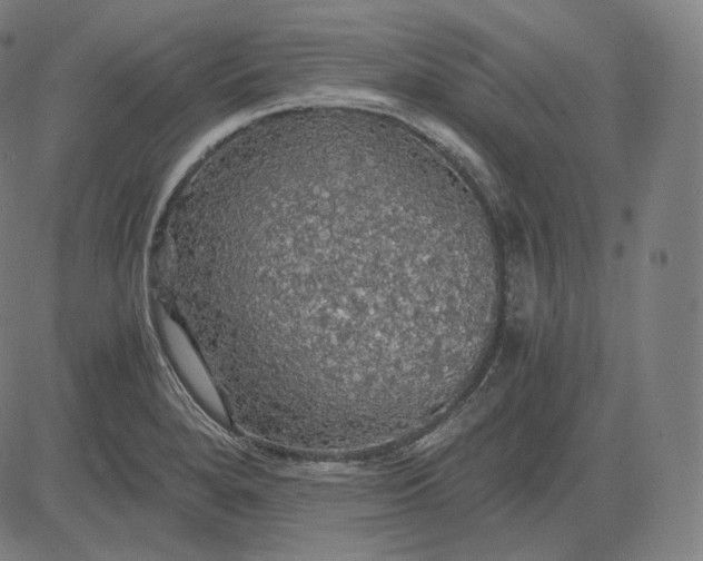 X0000084531280200703091618