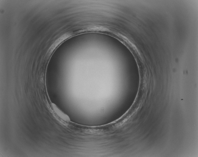 X0000084531281200703091618