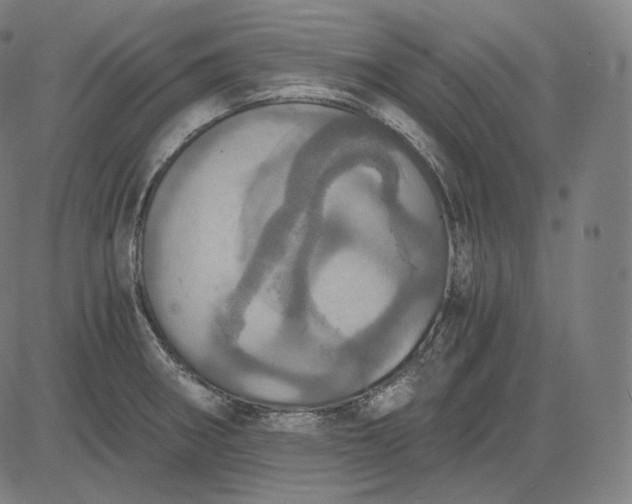 X0000084531282200703091618