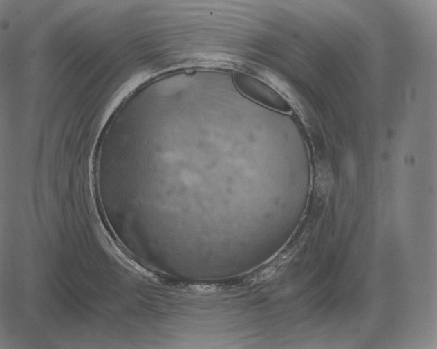 X0000084531283200703091618