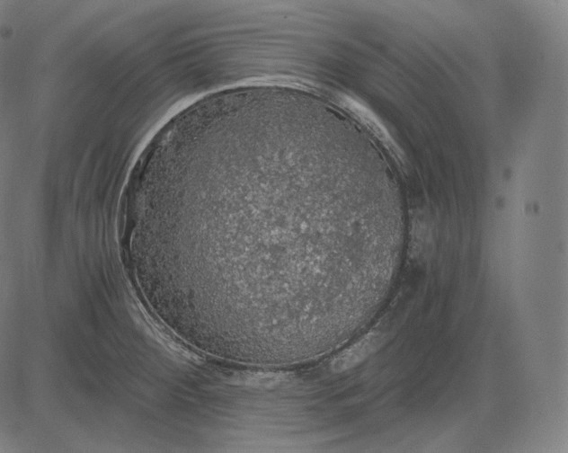 X0000084531284200703091618