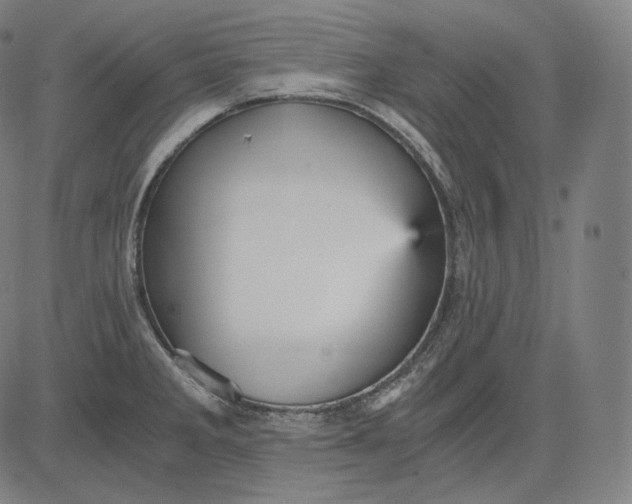 X0000084531285200703091618