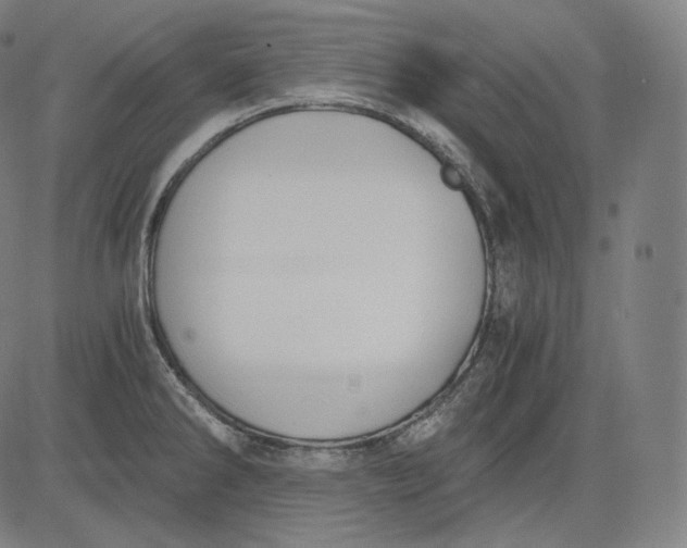 X0000084531286200703091618