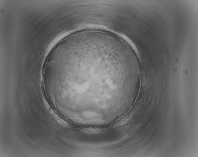 X0000084531287200703091618