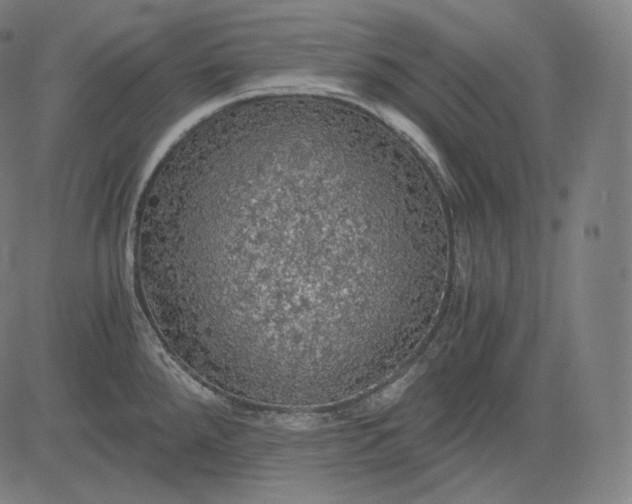 X0000084531288200703091618