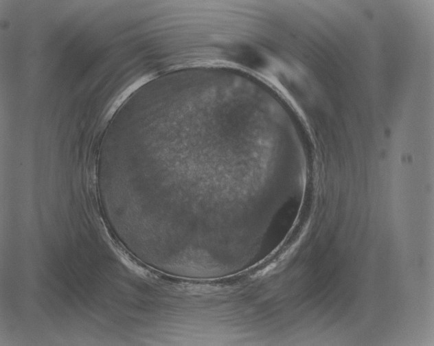 X0000084531289200703091618