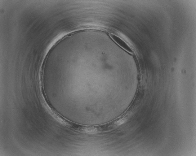 X0000084531291200703091618