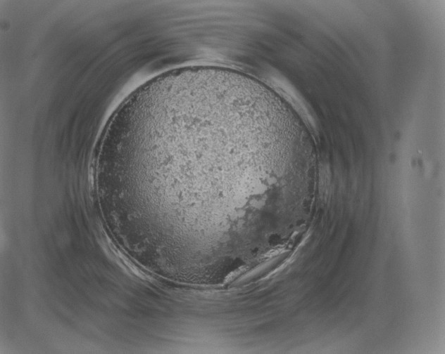 X0000084531292200703091618