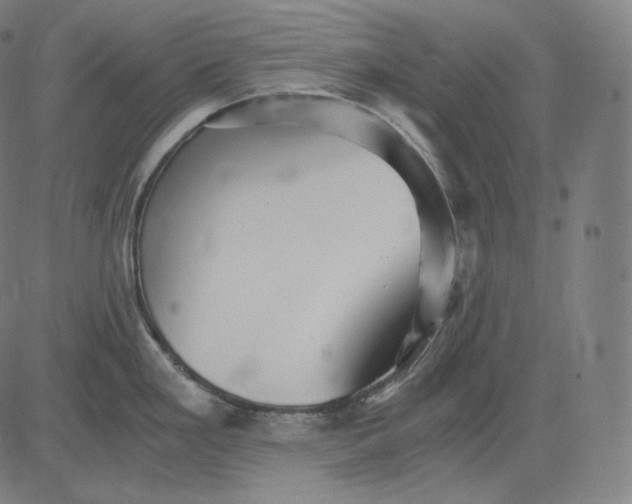 X0000084531293200703091618