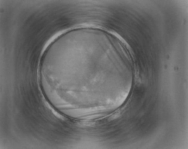 X0000084531294200703091618