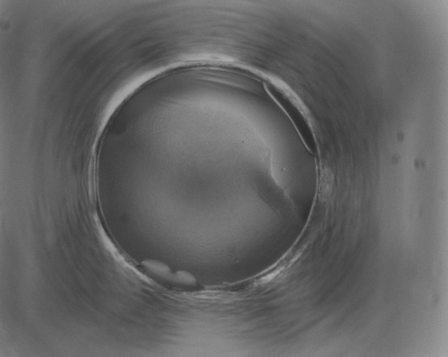 X0000084531295200703091618