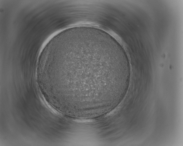 X0000084531296200703091618