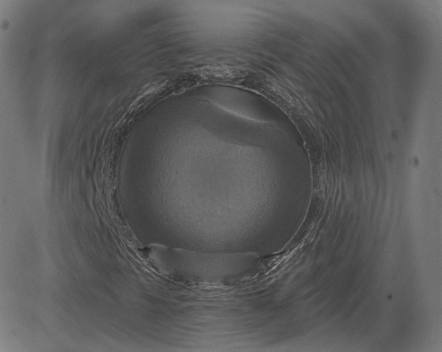 X0000084531297200703091617