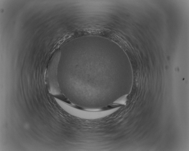 X0000084531298200703091617