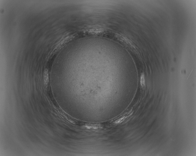 X0000084531299200703091617