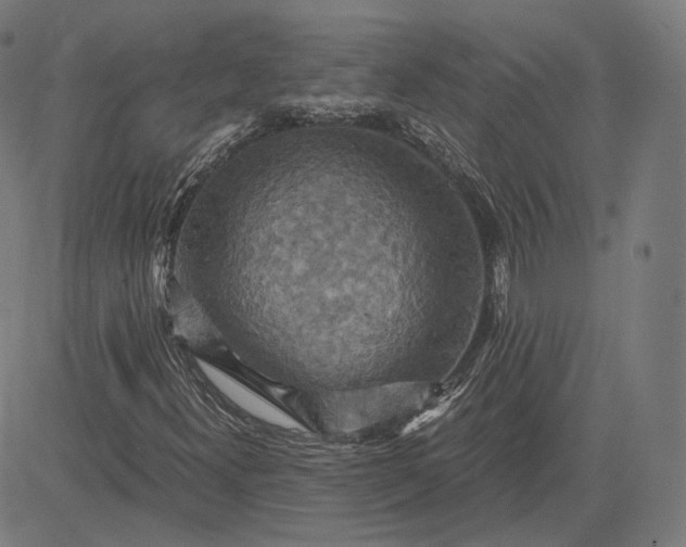 X0000084531300200703091617