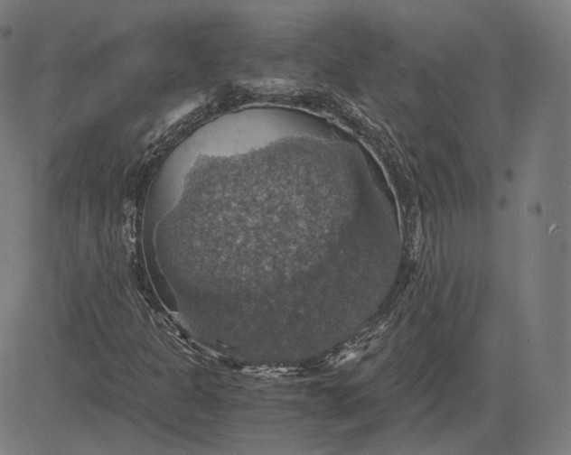 X0000084531301200703091617