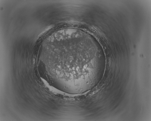 X0000084531302200703091617