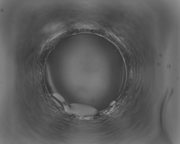 X0000084531303200703091617