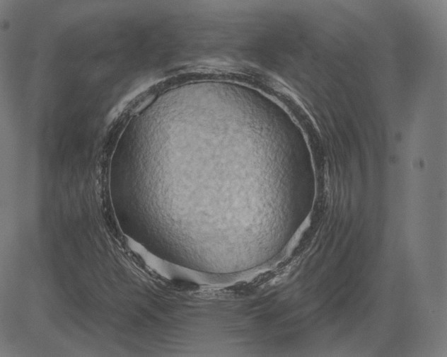 X0000084531304200703091617