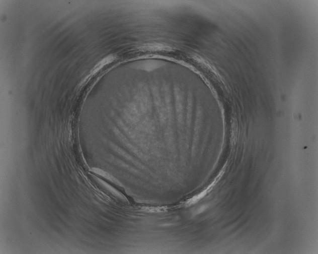 X0000084531305200703091617