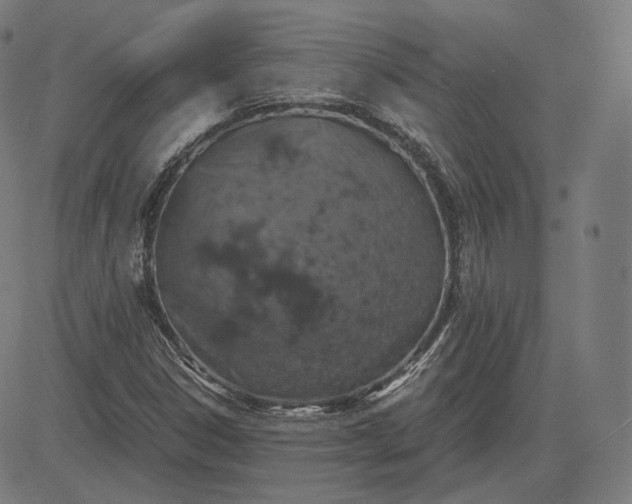 X0000084531306200703091617