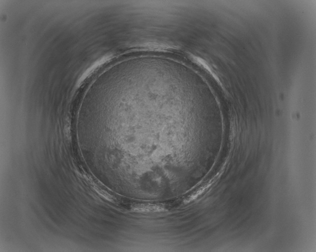 X0000084531307200703091617