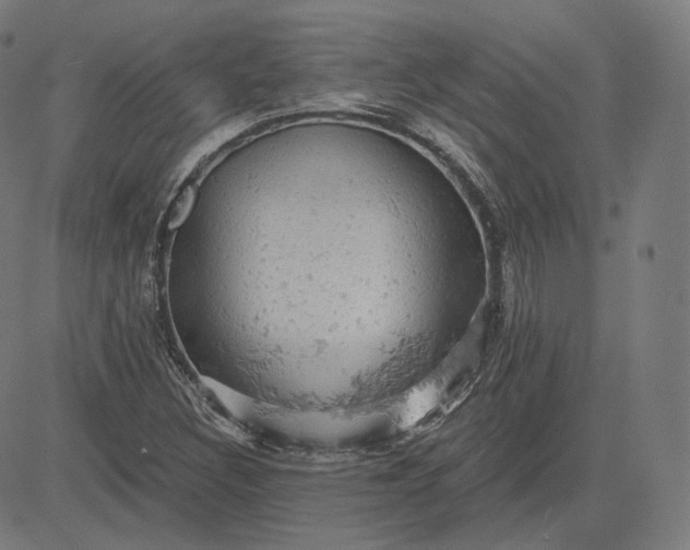 X0000084531308200703091618