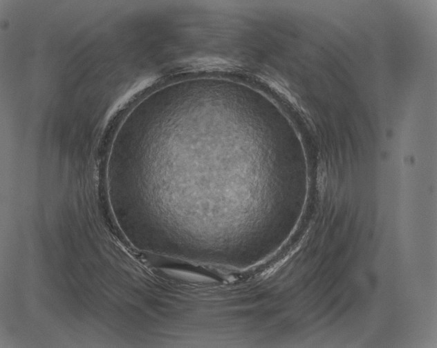 X0000084531309200703091618