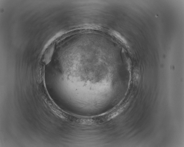 X0000084531310200703091618