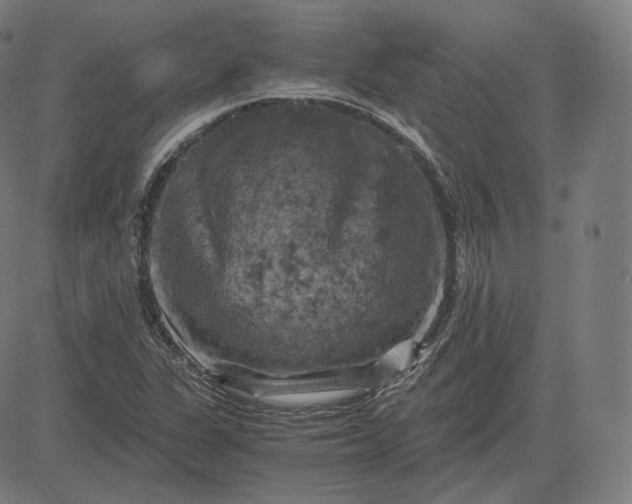 X0000084531311200703091618