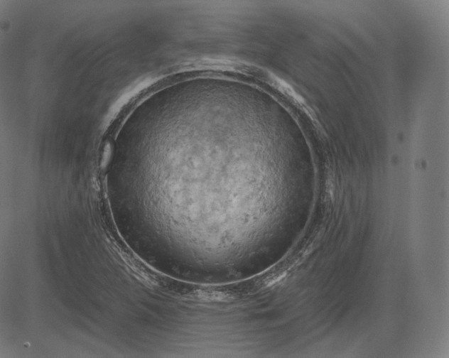 X0000084531312200703091618