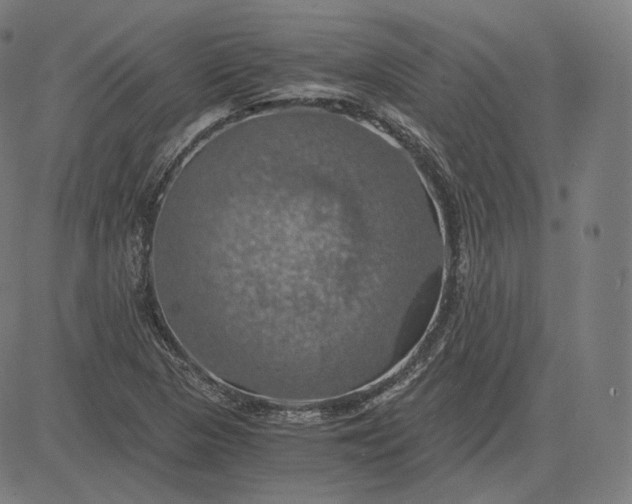 X0000084531313200703091618