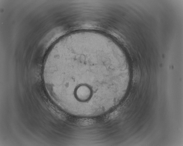 X0000084531314200703091618