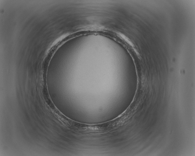 X0000084531315200703091618