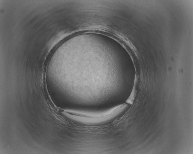 X0000084531316200703091618