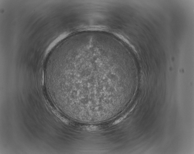 X0000084531317200703091618