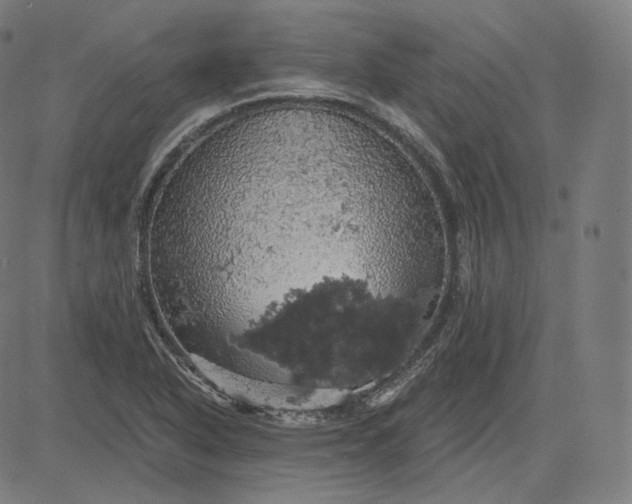 X0000084531318200703091618